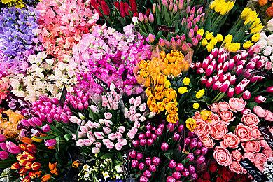 《幻想国物语：埃内尔王国的日常》Steam页面开放 发售日待定